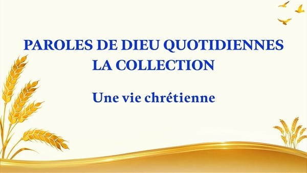 La vision de l'œuvre de Dieu (3)